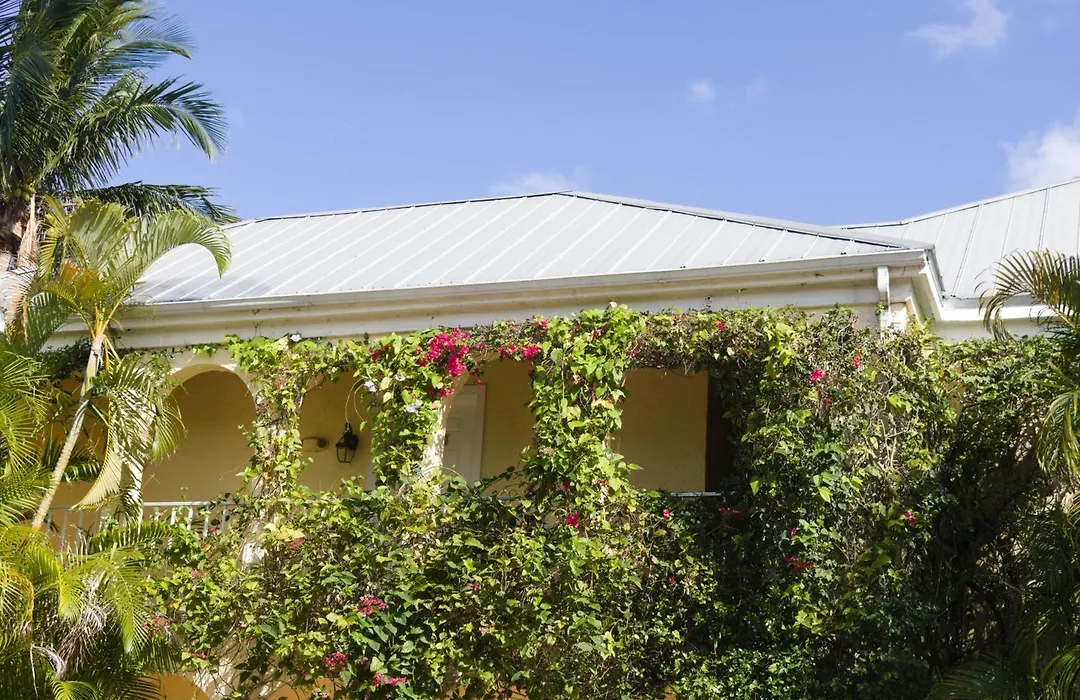 The Caribbean Court Boutique Hotel-1