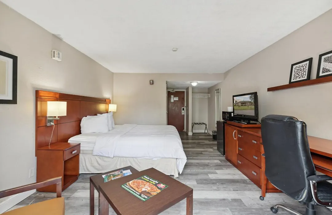Miami Suites-1