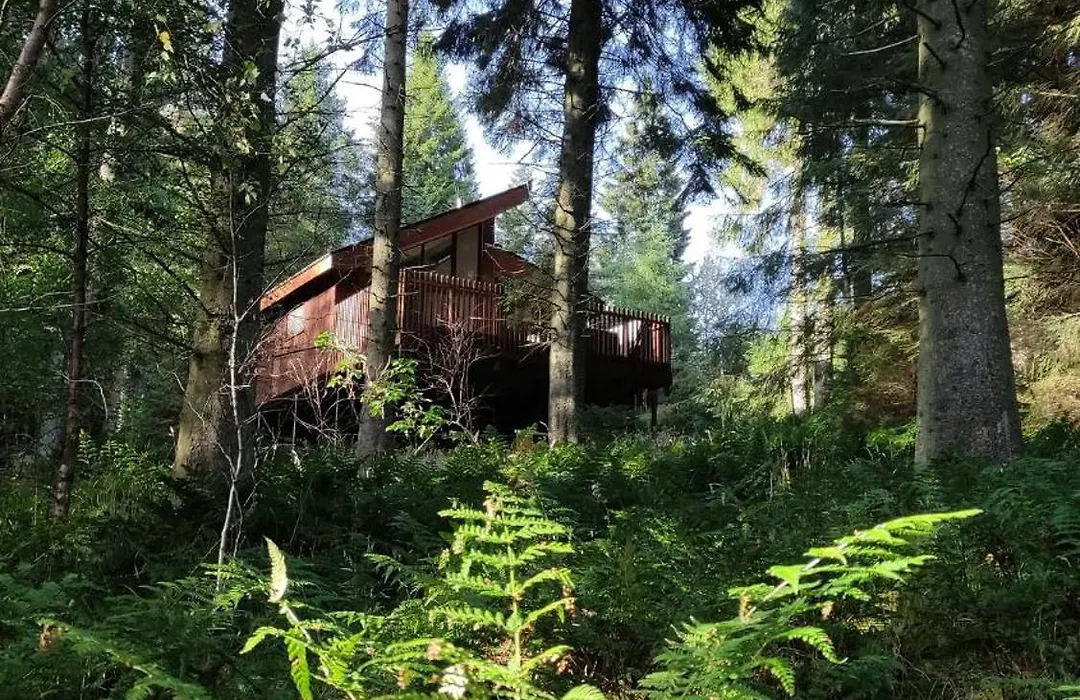 Glentress Forest Cabins - Forest Holidays-1