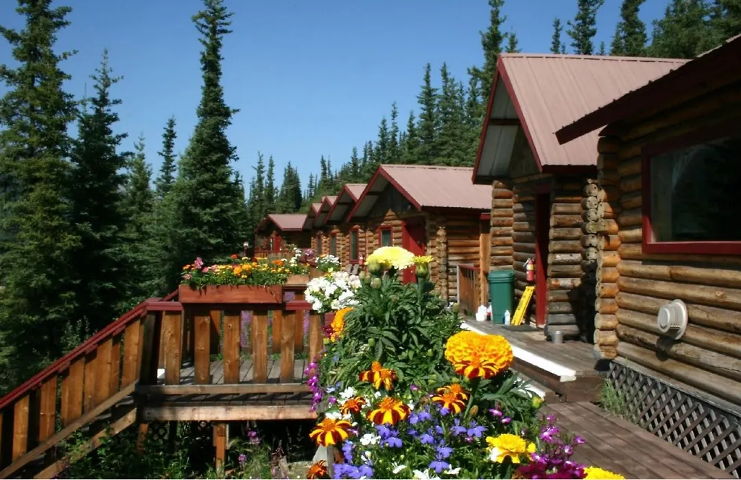 Denali Crow'S Nest Cabins-1