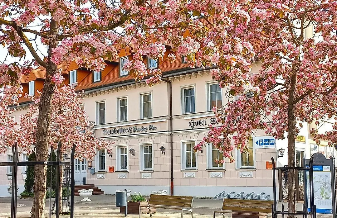 Hotel Schloßblick Trebsen-1