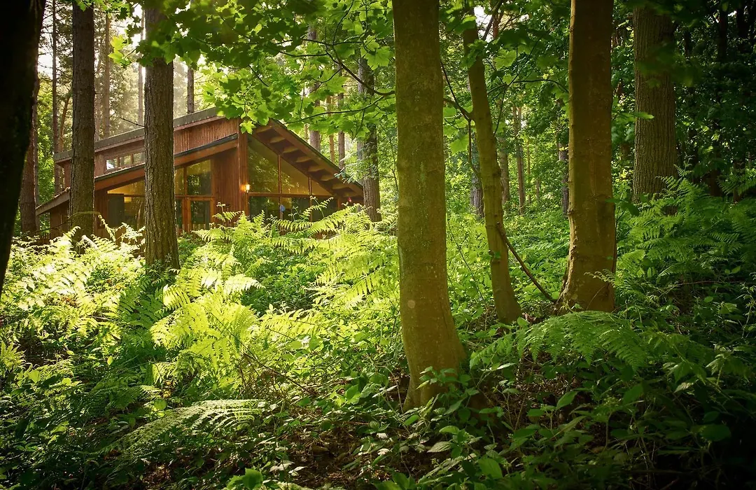 Blackwood Forest Cabins - Forest Holidays-1