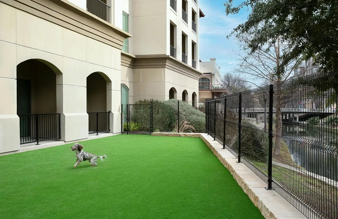 Sol Cypress, San Antonio, A Tribute Portfolio Hotel-1