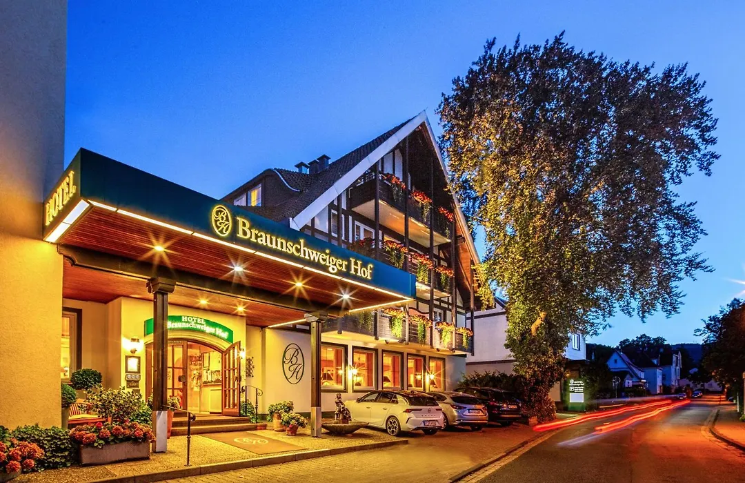 Hotel Braunschweiger Hof-1