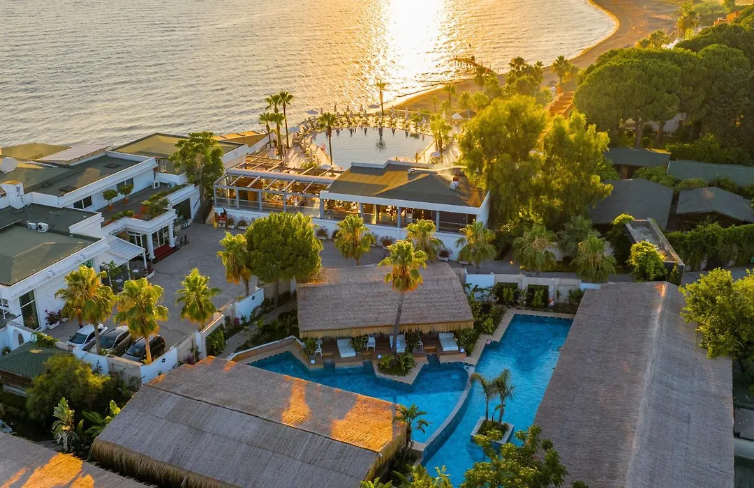 Flora Garden Beach Hotel - Adults Only 16 Plus - Couples Concept-1