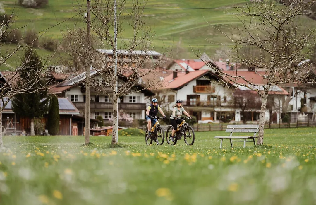 Hotel-Gasthof Im Wiesengrund-1