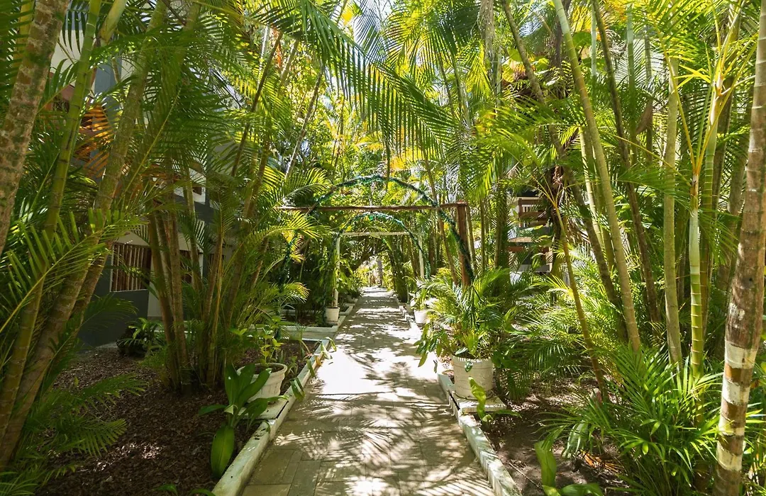 Indaia Eco Village-1