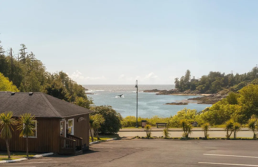 Little Beach Resort-1