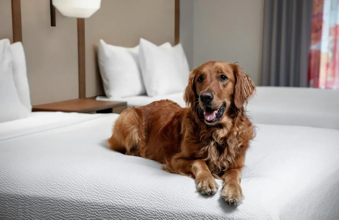 Fairfield By Marriott At Lakewood Ranch - Sarasota-1