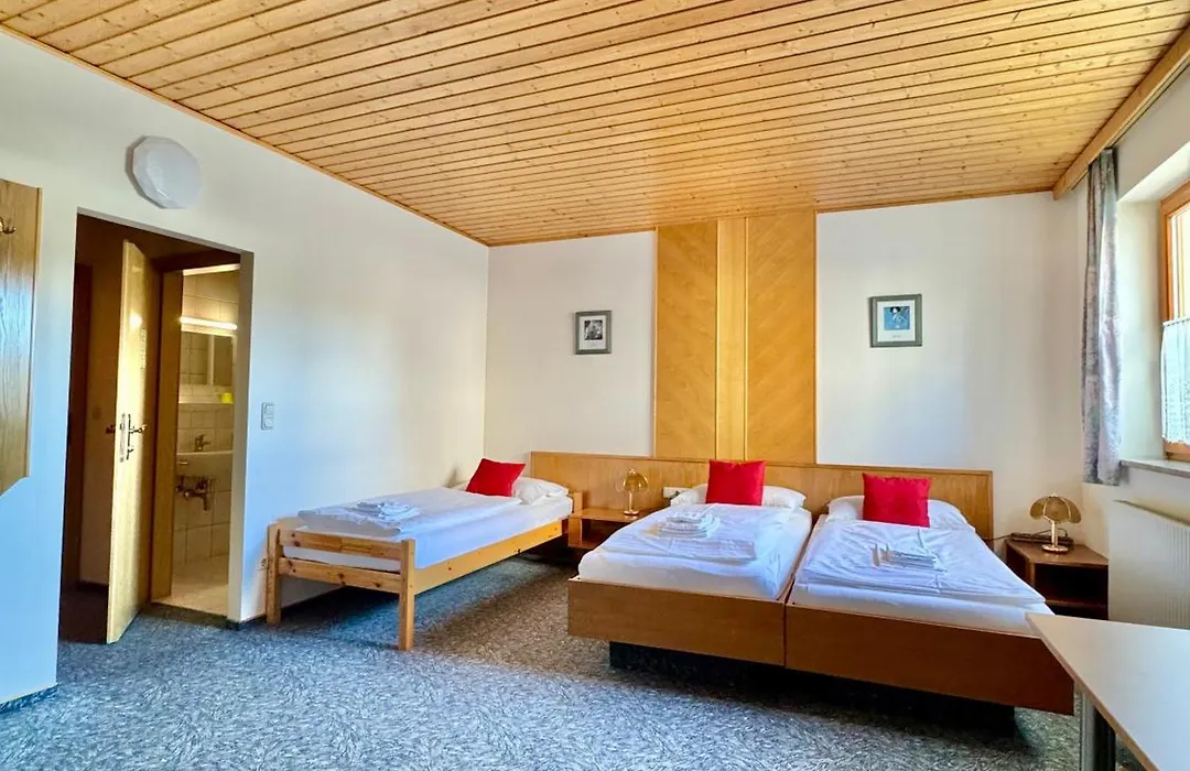 Hotel die Traube-1