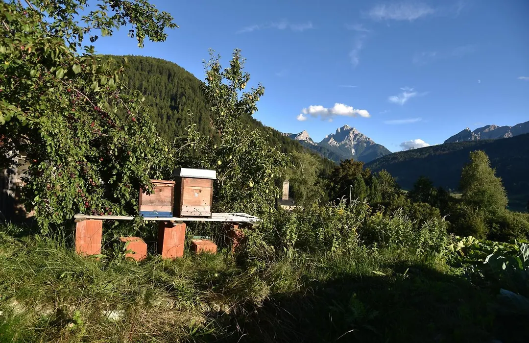 Pension Panorama-1