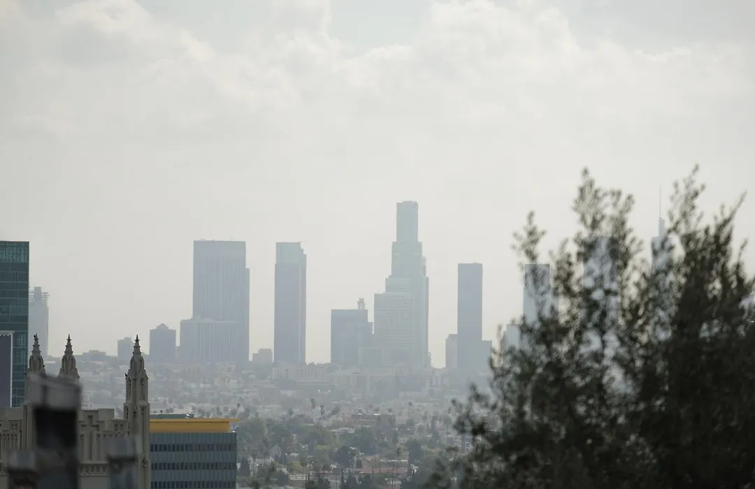 Hollywood Hills Hotel-1