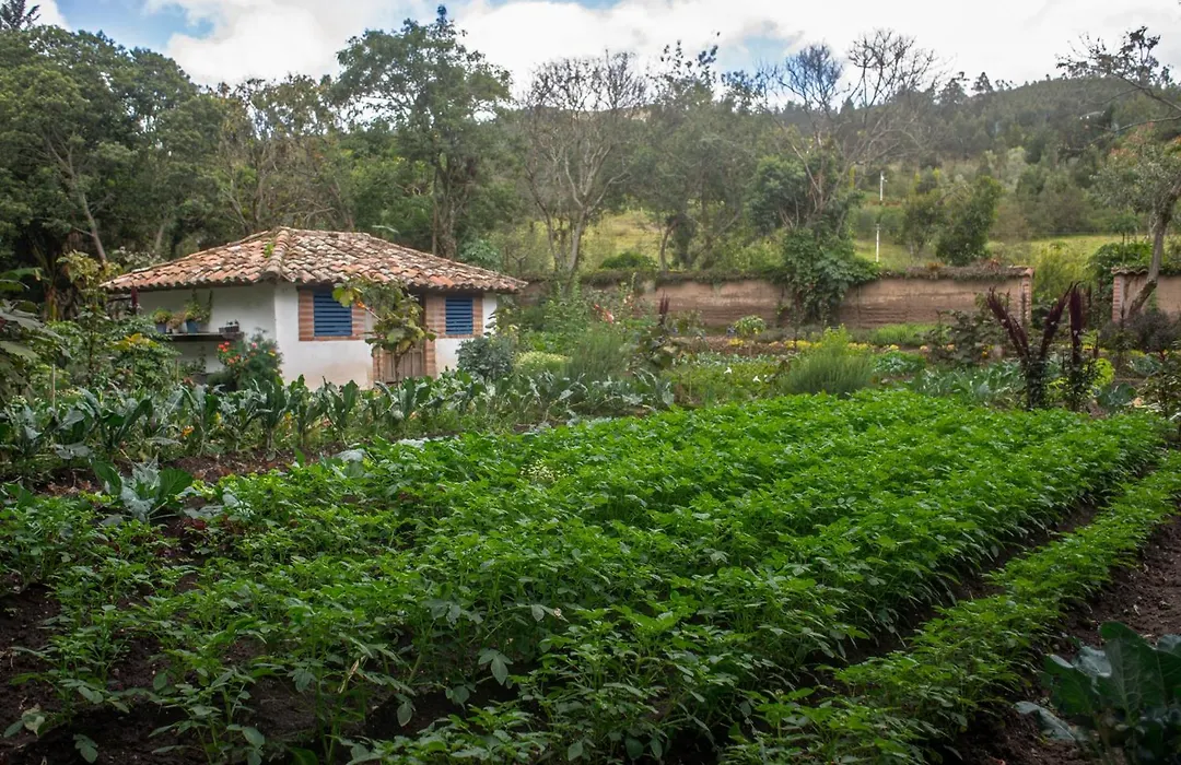 Hacienda Cusin-1