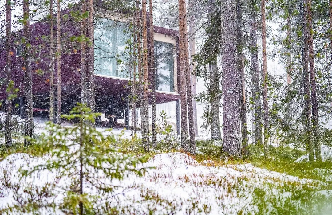 Arctic Treehouse Hotel-1