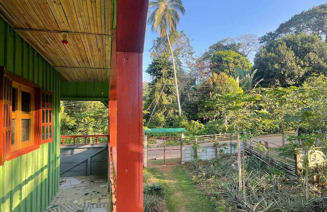 Casas Salomão-1