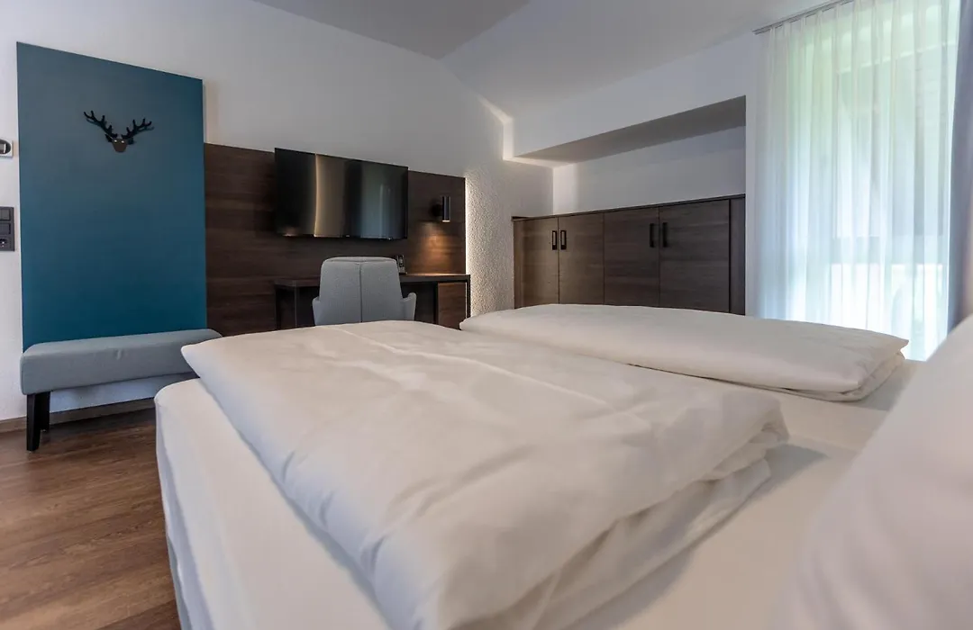 Hotel Hirsch-1