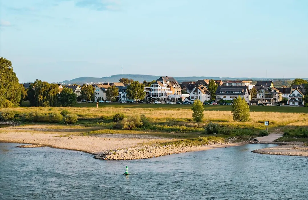 Rheinhotel Larus-1