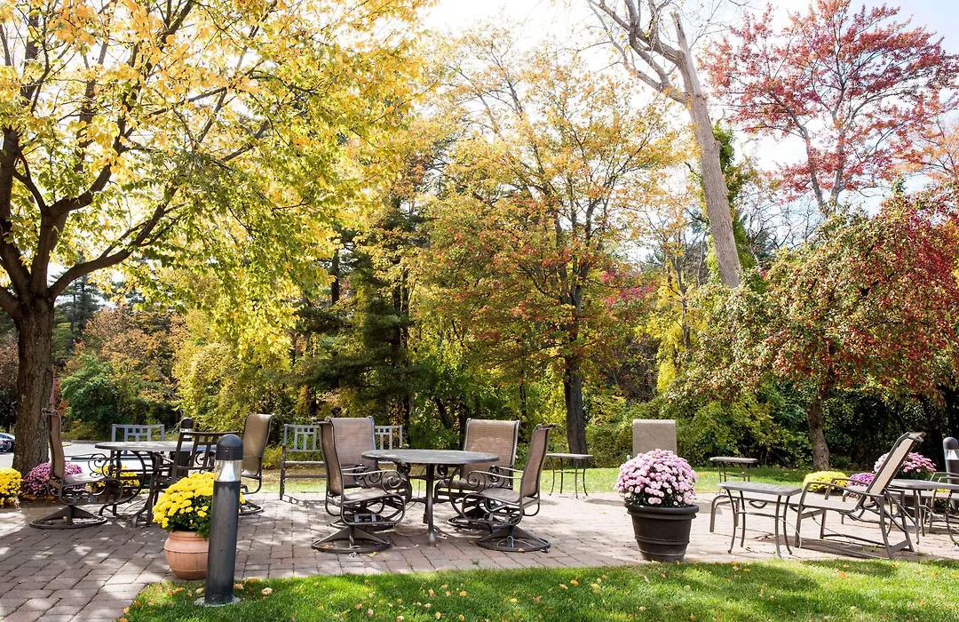 Hampton Inn Albany-Western Ave/University Area, Ny-1