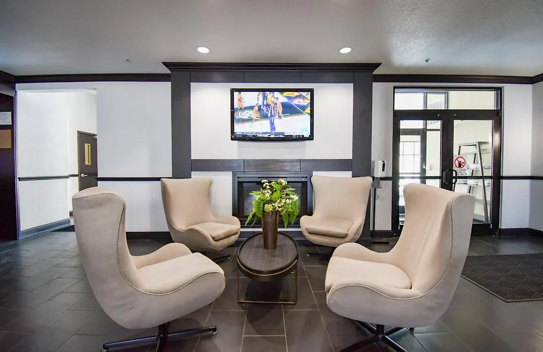 Holiday Inn San Antonio North Stone Oak Area By Ihg-Newly Renovated-1