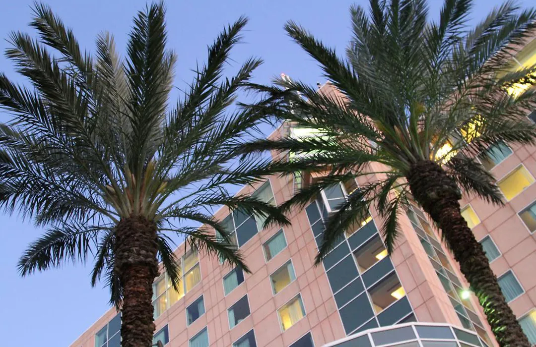 Moody Gardens Hotel Spa And Convention Center-1