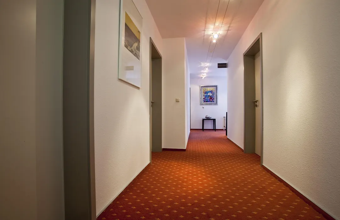 Hotel Am Braunen Hirsch-1
