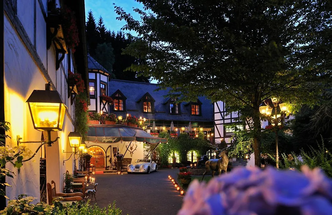 Hotel Jagdhof Glashütte-1
