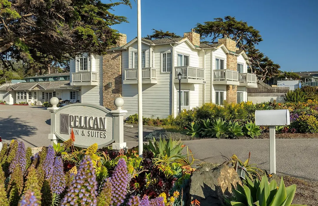 Pelican Inn & Suites-1