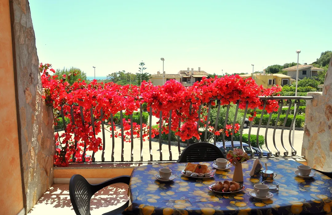 Palm Village-1