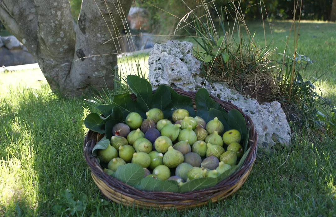 Masseria Chiancone Torricella-1