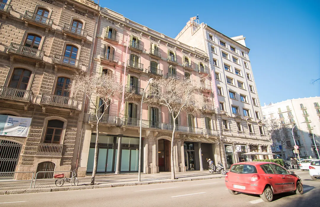 Icon Bcn-1