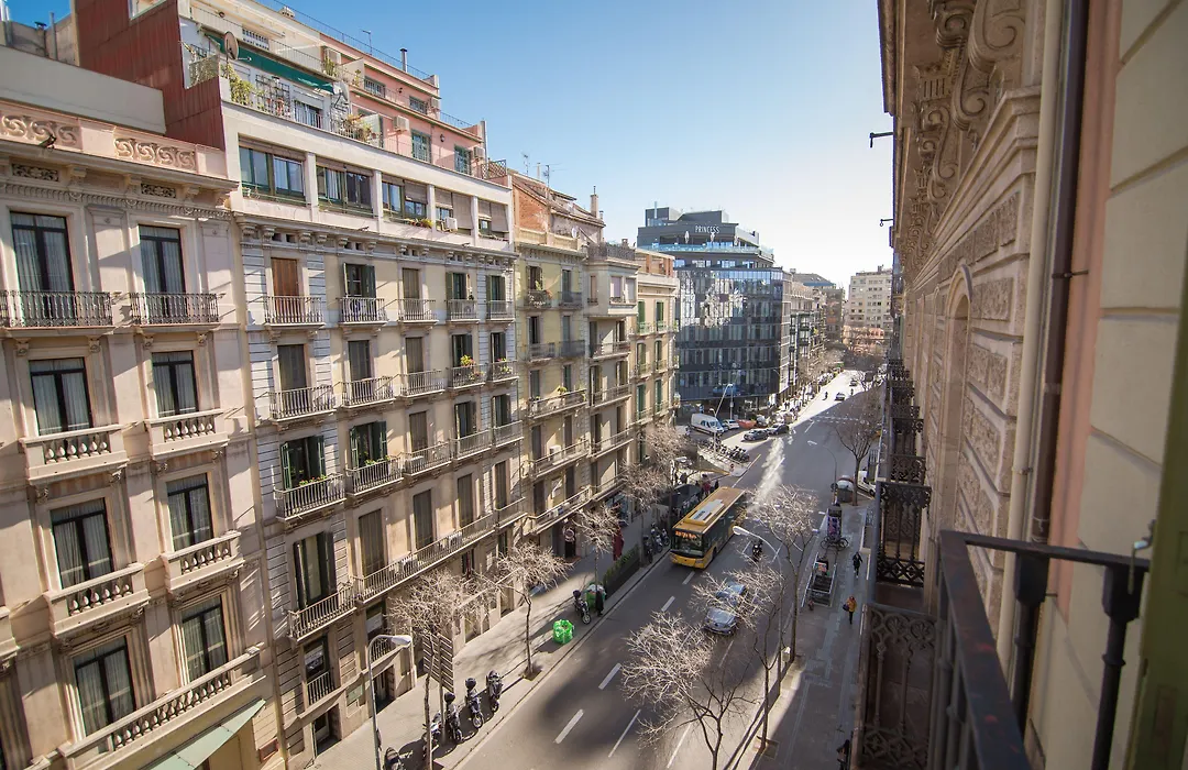 Icon Bcn-1