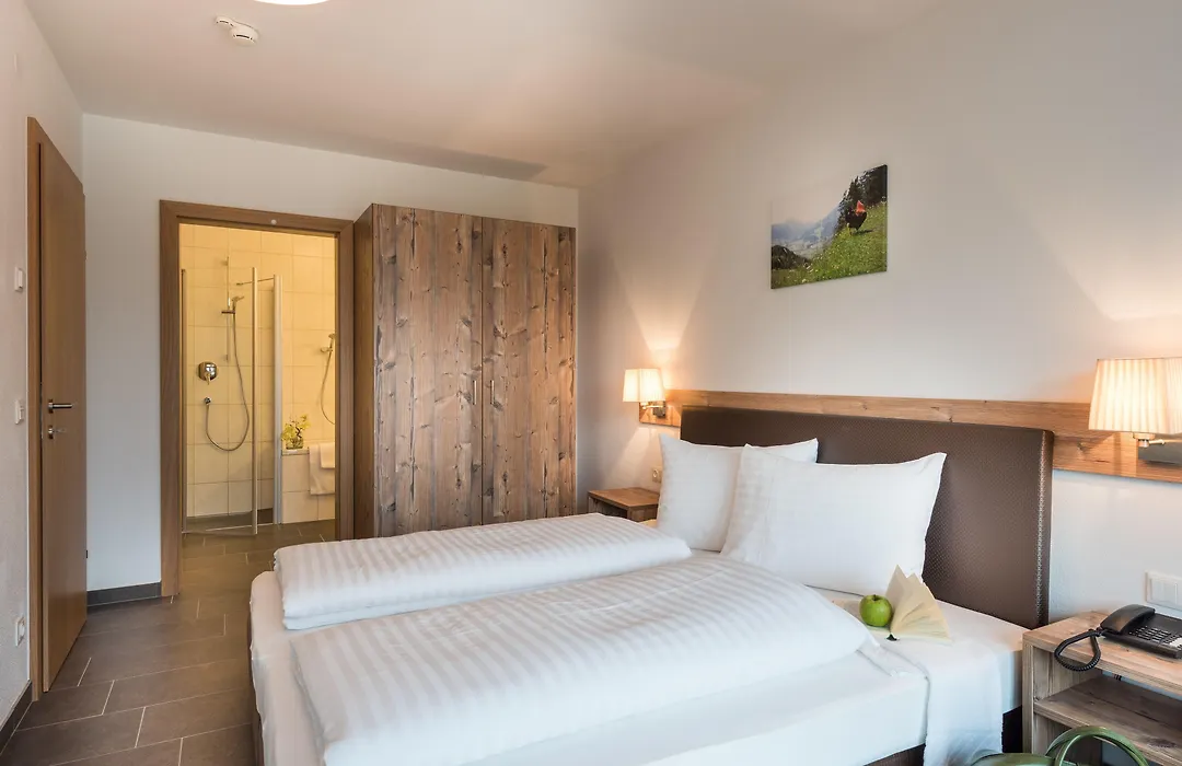 Alpenparks Hotel & Apartment Central Zell Am See-1