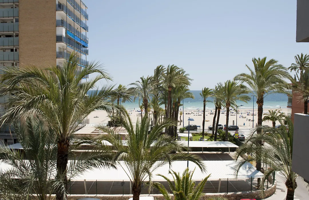 Hotel El Palmeral-1