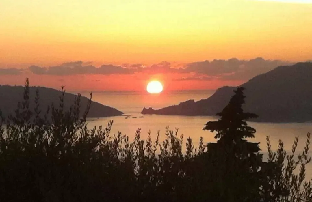 Hotel Del Golfo-1