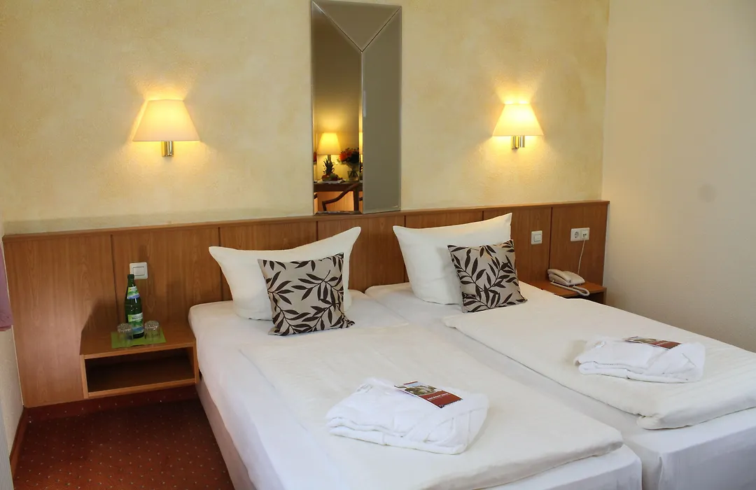 Hotel Weisser Schwan-1