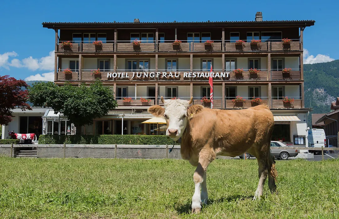 Jungfrau Hotel-1