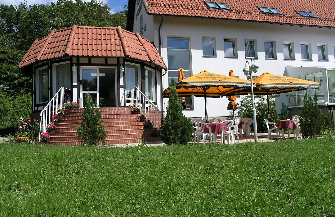 Hotel Harzresidenz-1