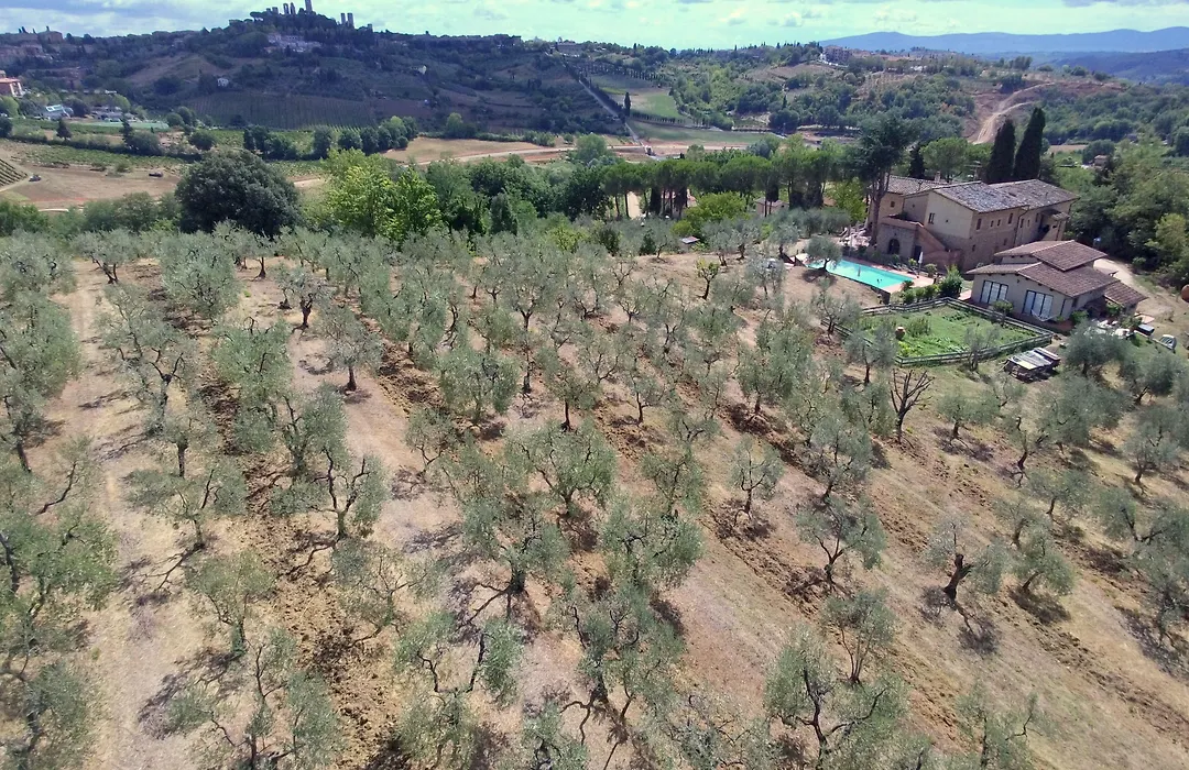 Agriturismo I Pini-1