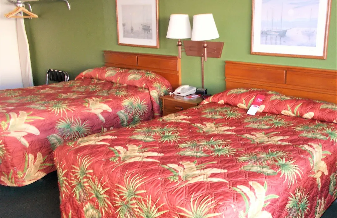 Econo Lodge Conway Central-1
