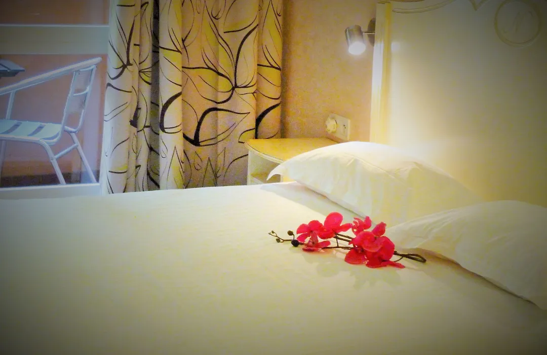 Hotel Napoleon-1