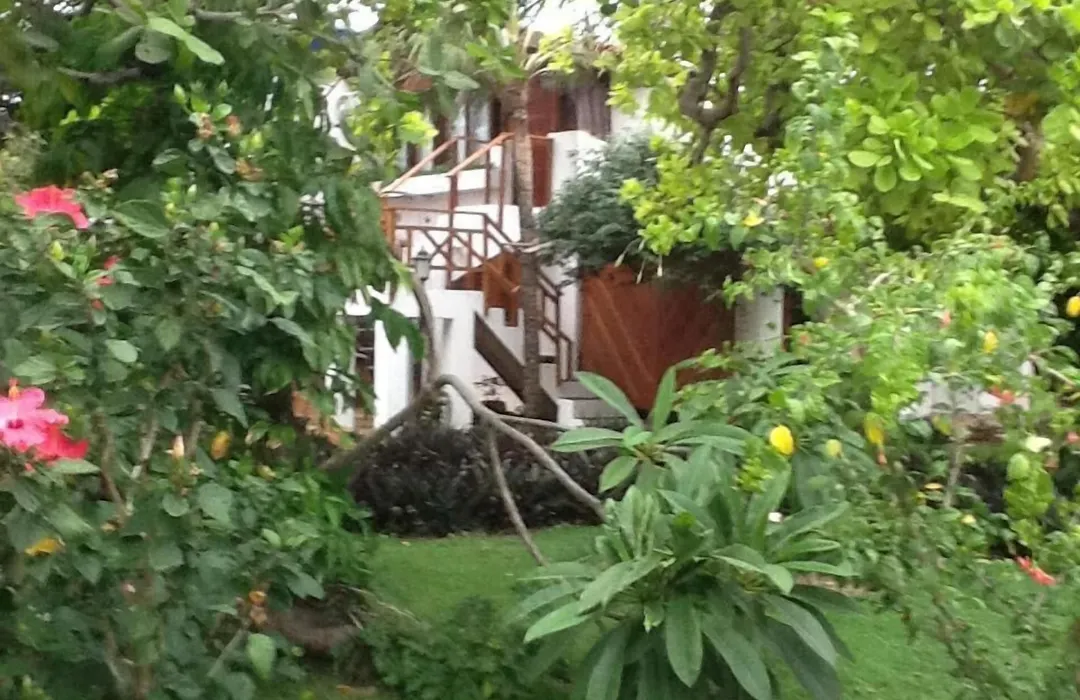Pousada Villa Caju-1