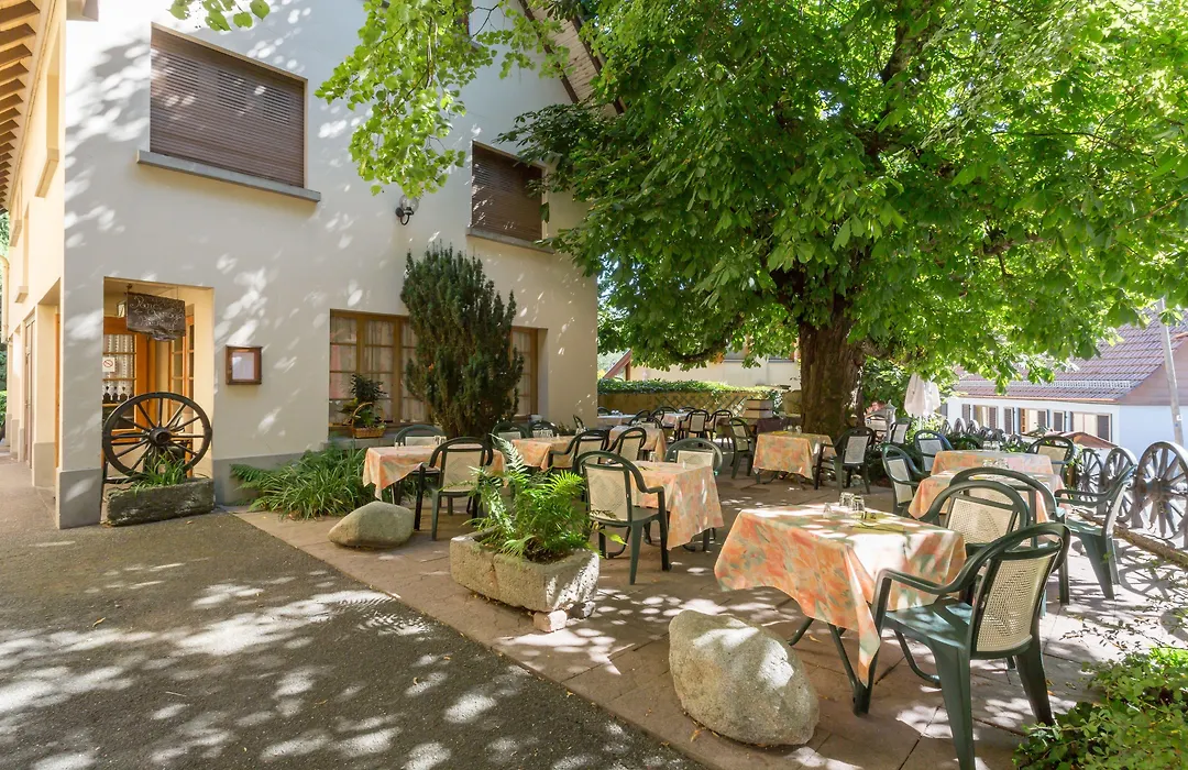 L'AO Hôtel&Restaurant L'Aigle d'Or-1