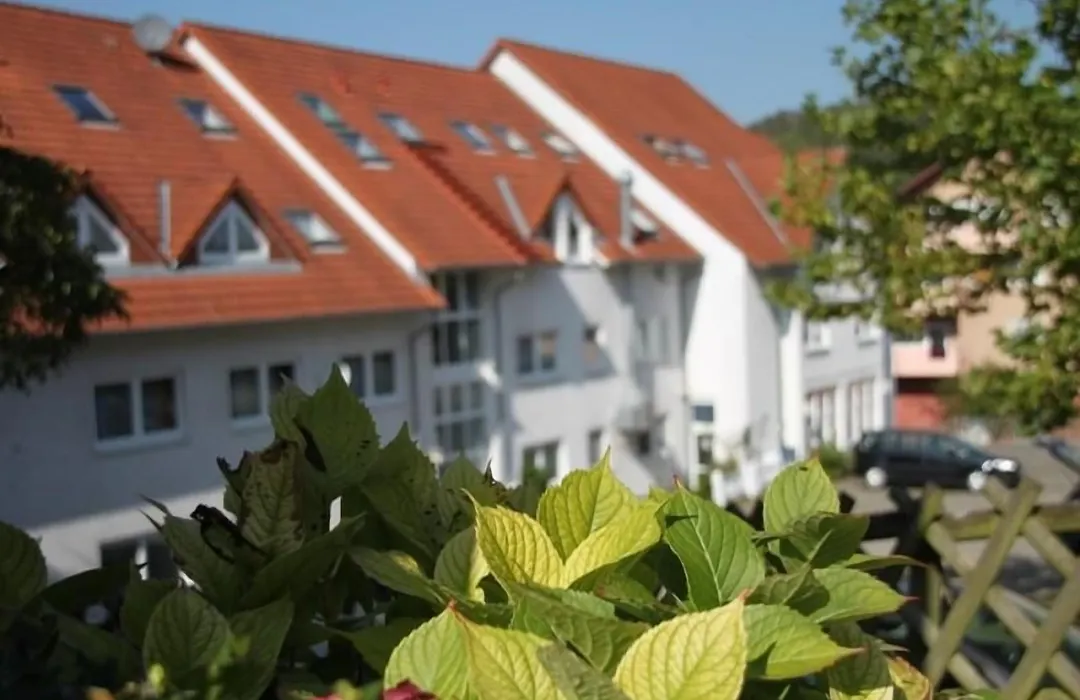 Hotel Leo Mühlhausen-1