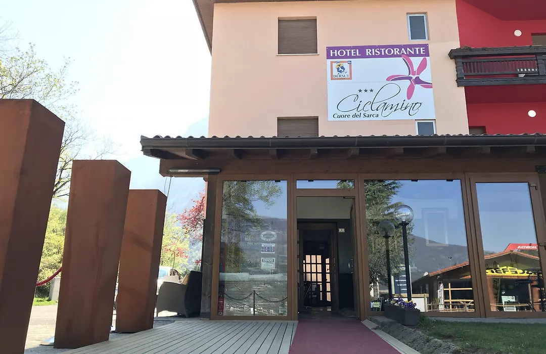 Hotel Ciclamino-1