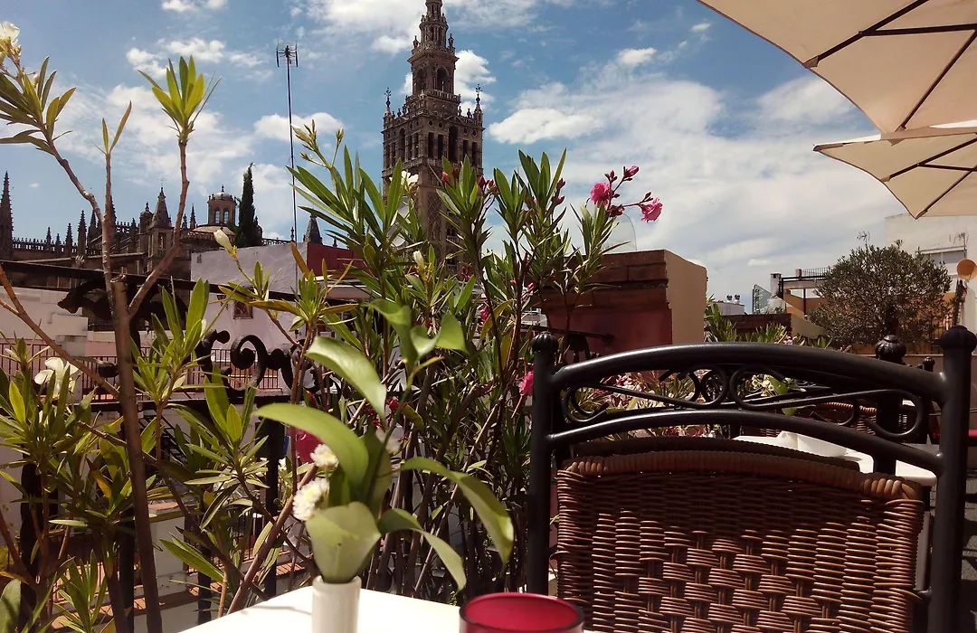 Hotel Palacio Alcazar-1