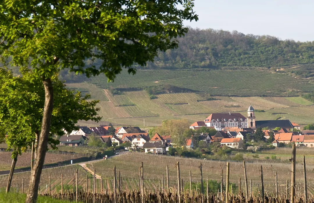 Hôtel Val-Vignes Colmar Haut-Koenigsbourg, The Originals Relais-1