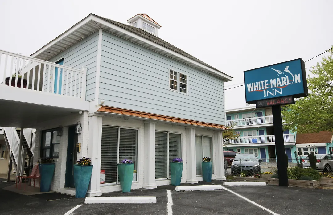 White Marlin Inn-1