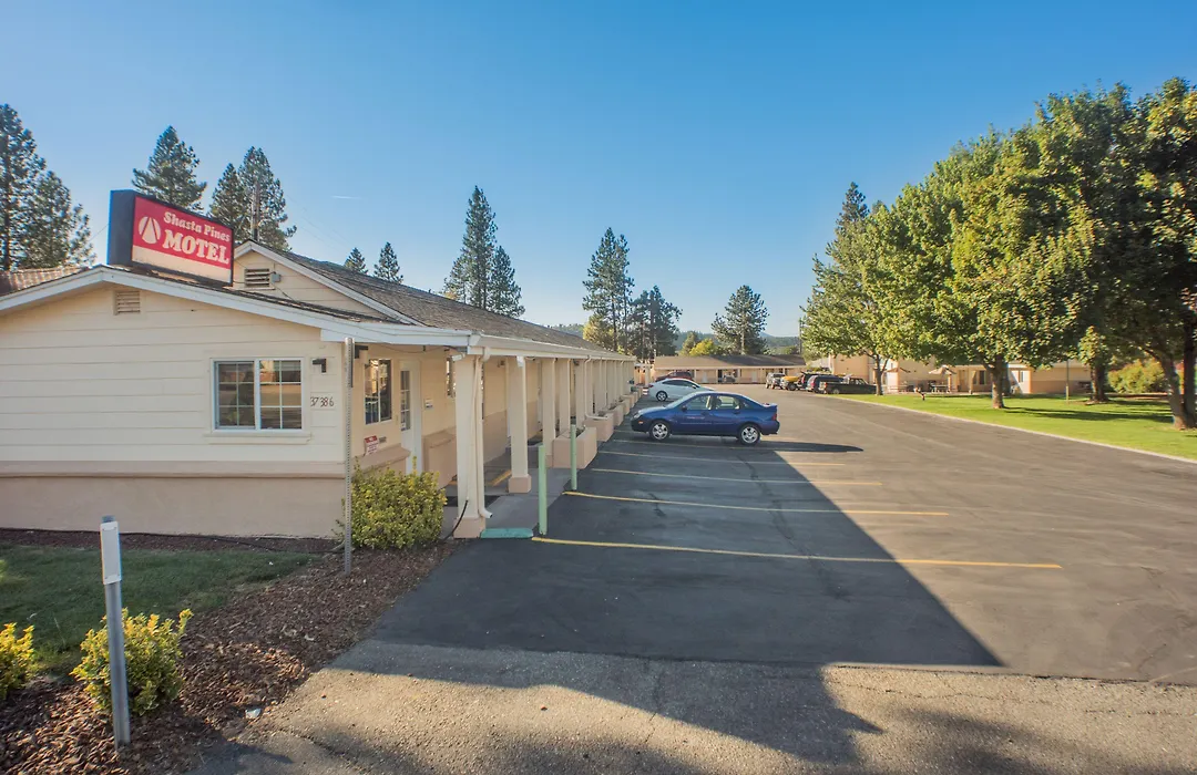 Shasta Pines Motel & Suites-1