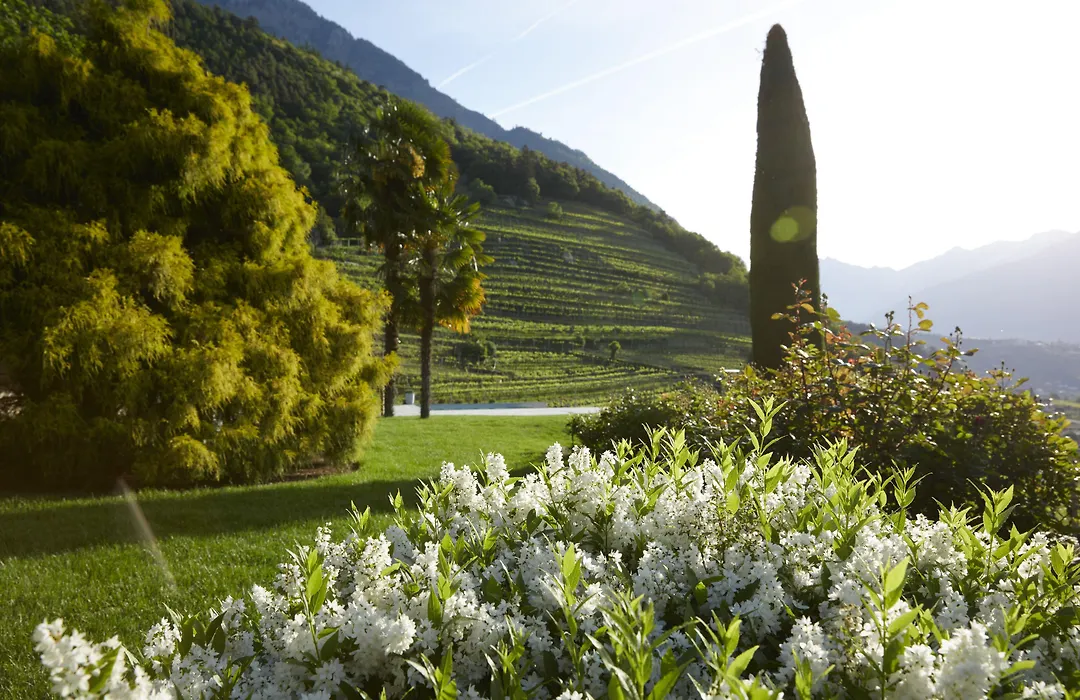 Schloss Plars Wine & Suites-1
