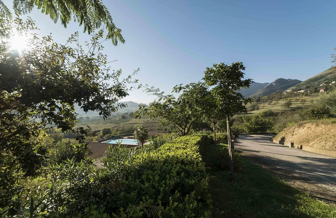 Tenuta D'Amore-1